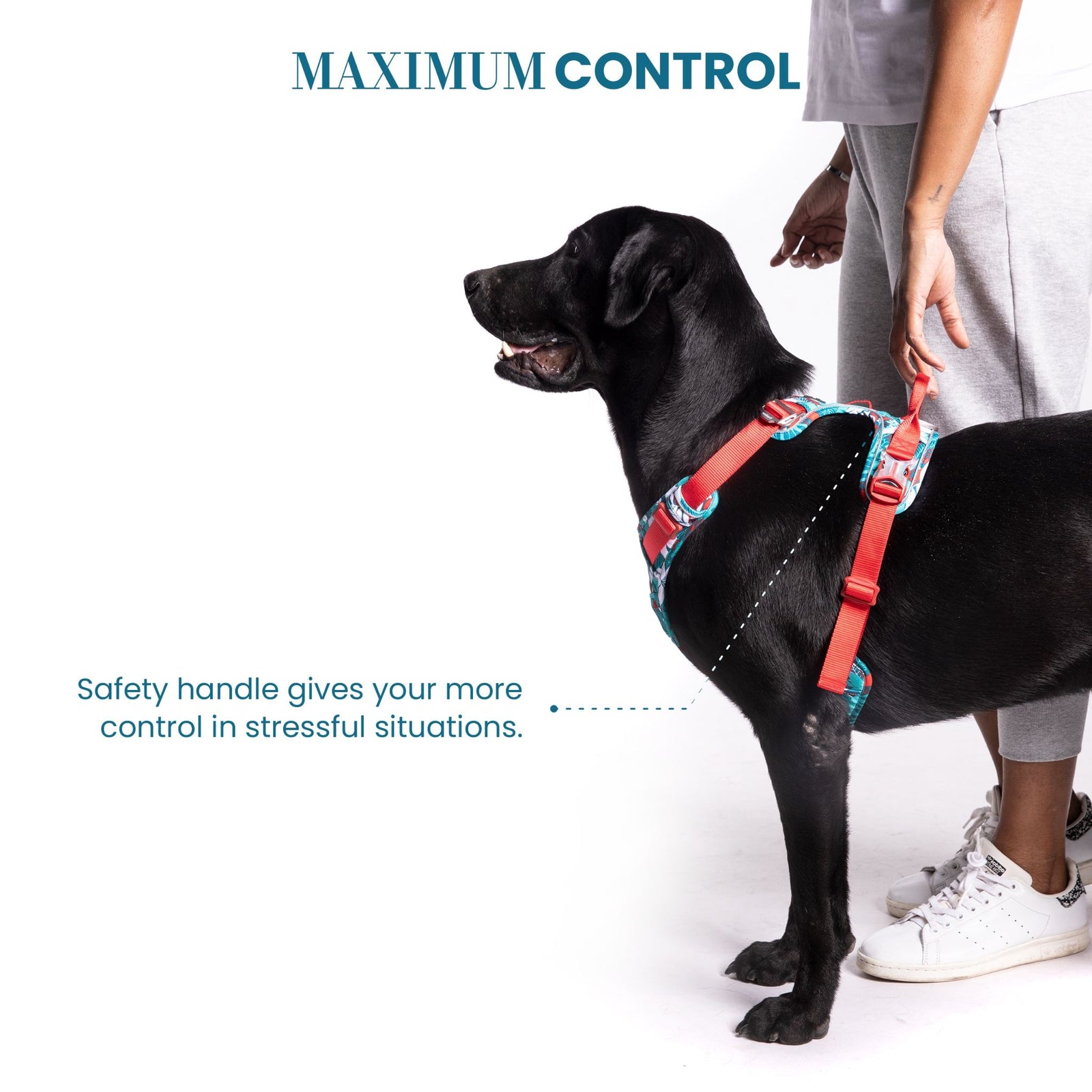 Truelove No-Pull Special Edition Harness for Dogs- Camouflage Blue product image 3 - Rufftail Pune