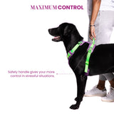 Truelove No-Pull Special Edition Harness for Dogs- Camouflage Purple product image 3 - Rufftail Pune