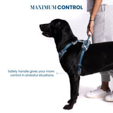 Truelove Floral No Pull Pet Harness for Dogs product image 13 - Rufftail Pune