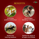 Rena Cookie & Pizza Dog Treat product image 3 - Rufftail Pune