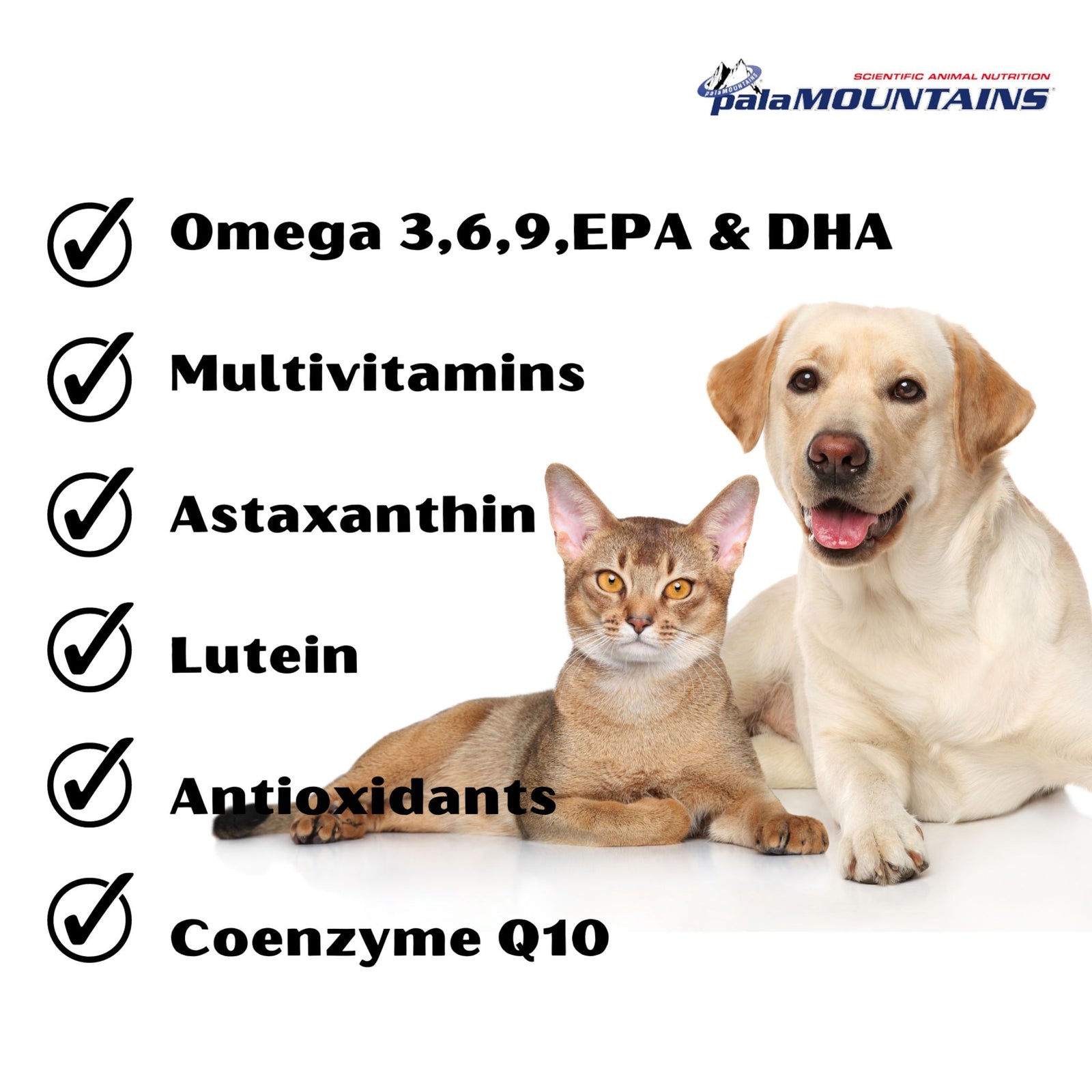Palamountains MyBeau Supplement Vision and Optics for Dogs & Cats product image 5 - Rufftail Pune