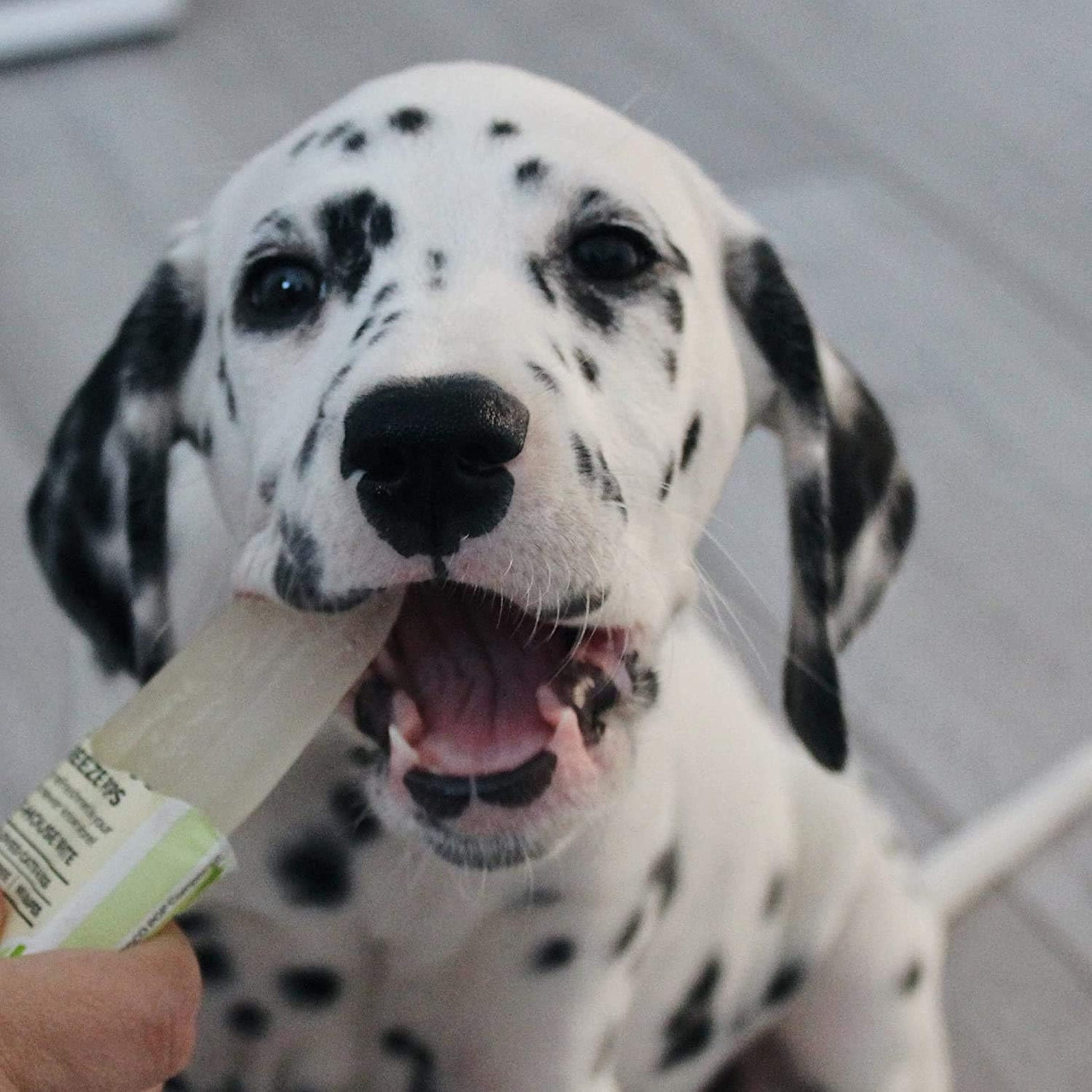 WOOF&BREW Paw Pops Freeze Pops - Cat & Dog Treat (6 x 50ml) – Unique treat or gift for Dogs and Cats all year round - Rufftail