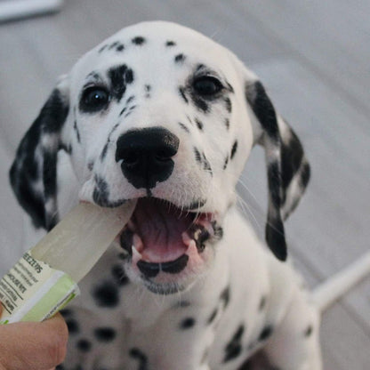 WOOF&BREW Paw Pops Freeze Pops - Cat & Dog Treat (6 x 50ml) – Unique treat or gift for Dogs and Cats all year round - Rufftail