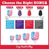 Kong Puppy Toy Wobbler – Best Chew & Teething Toy for Puppy - Rufftail