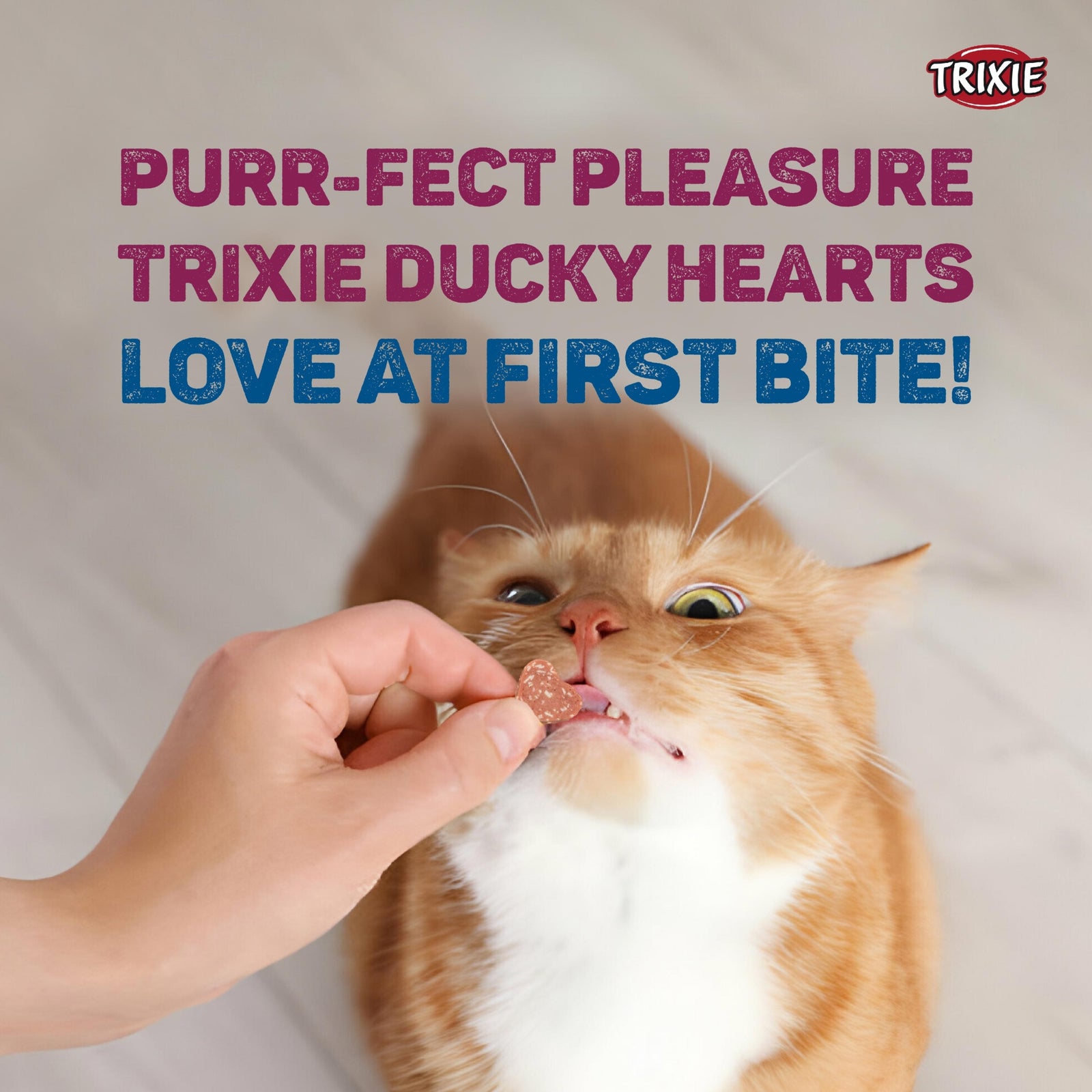 Trixie Premio Ducky Hearts Cat Treat- 50g product image 4 - Rufftail Pune