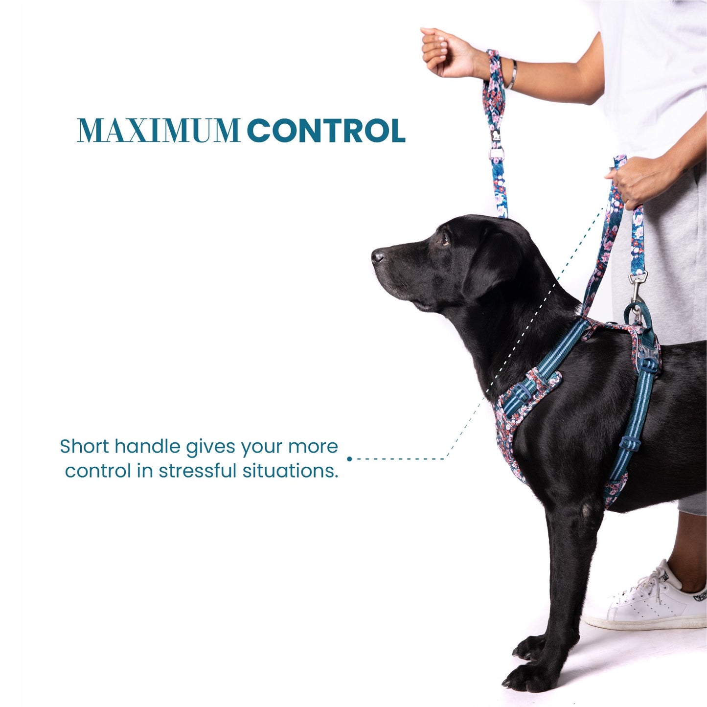 Truelove Floral Pet Leash with Multi-Handles for Dogs - Rufftail