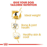 Royal Canin Dry Labrador Retriever Adult Complete feed for dogs - Rufftail