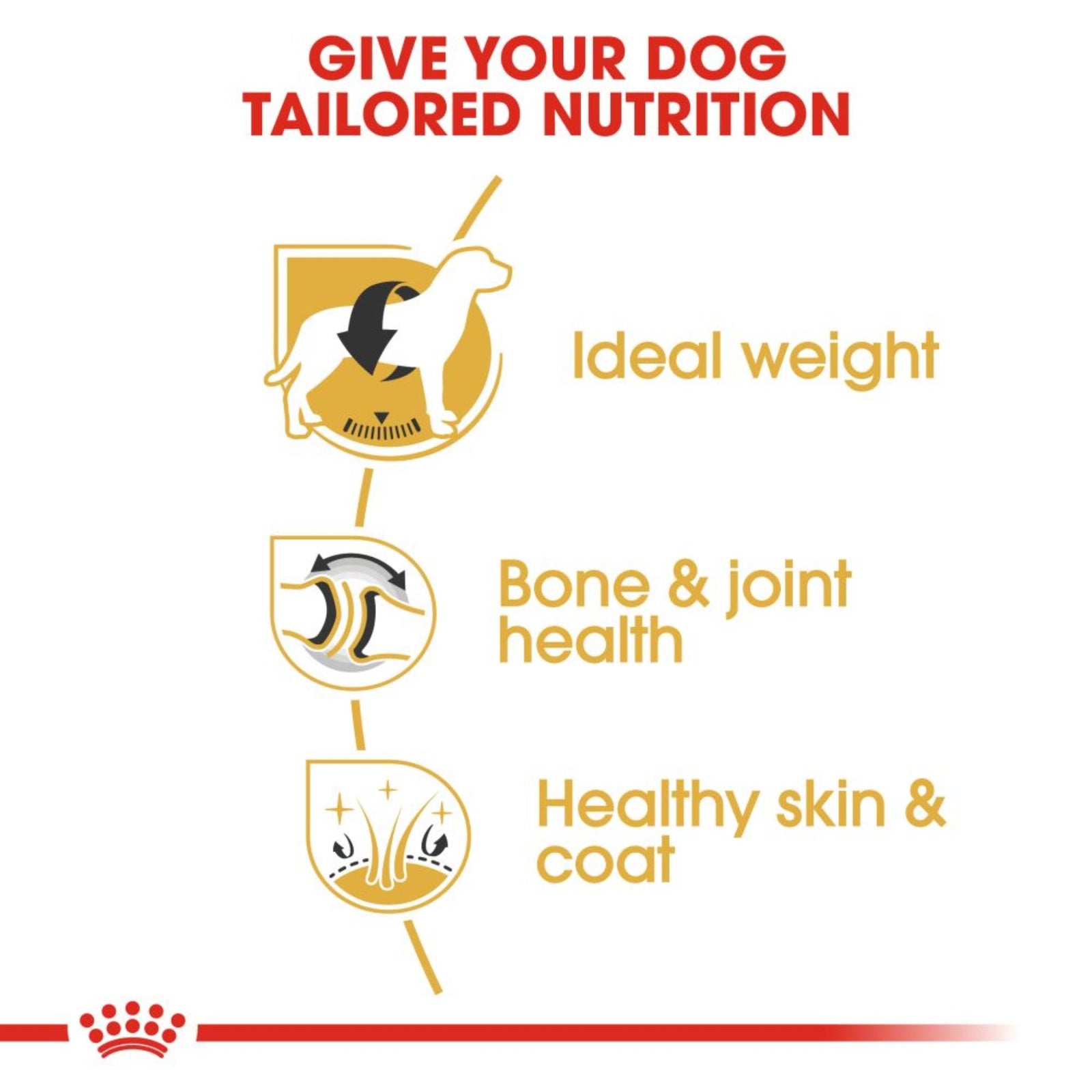 Royal Canin Dry Labrador Retriever Adult Complete feed for dogs - Rufftail