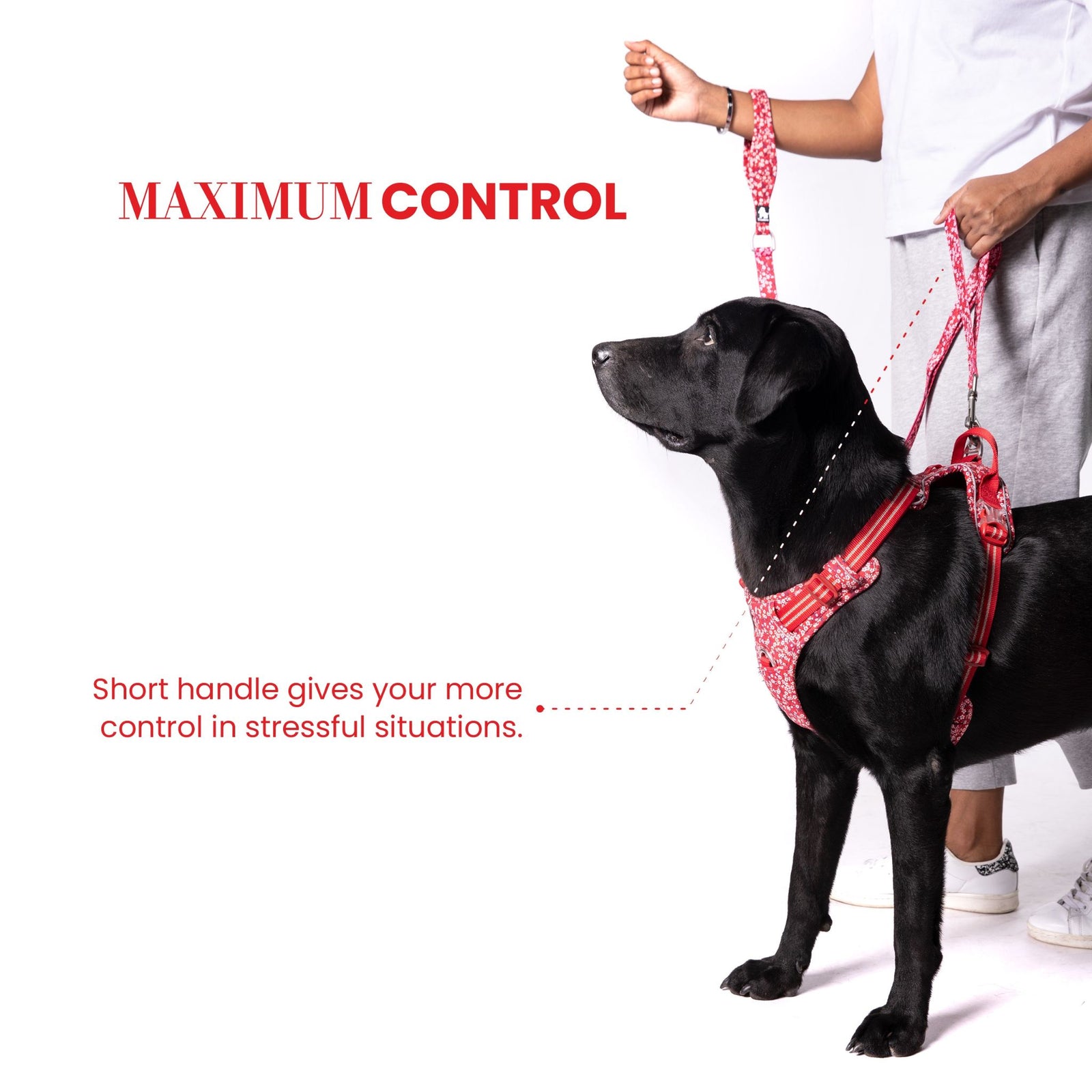 Truelove Floral Pet Leash with Multi-Handles for Dogs product image 4 - Rufftail Pune