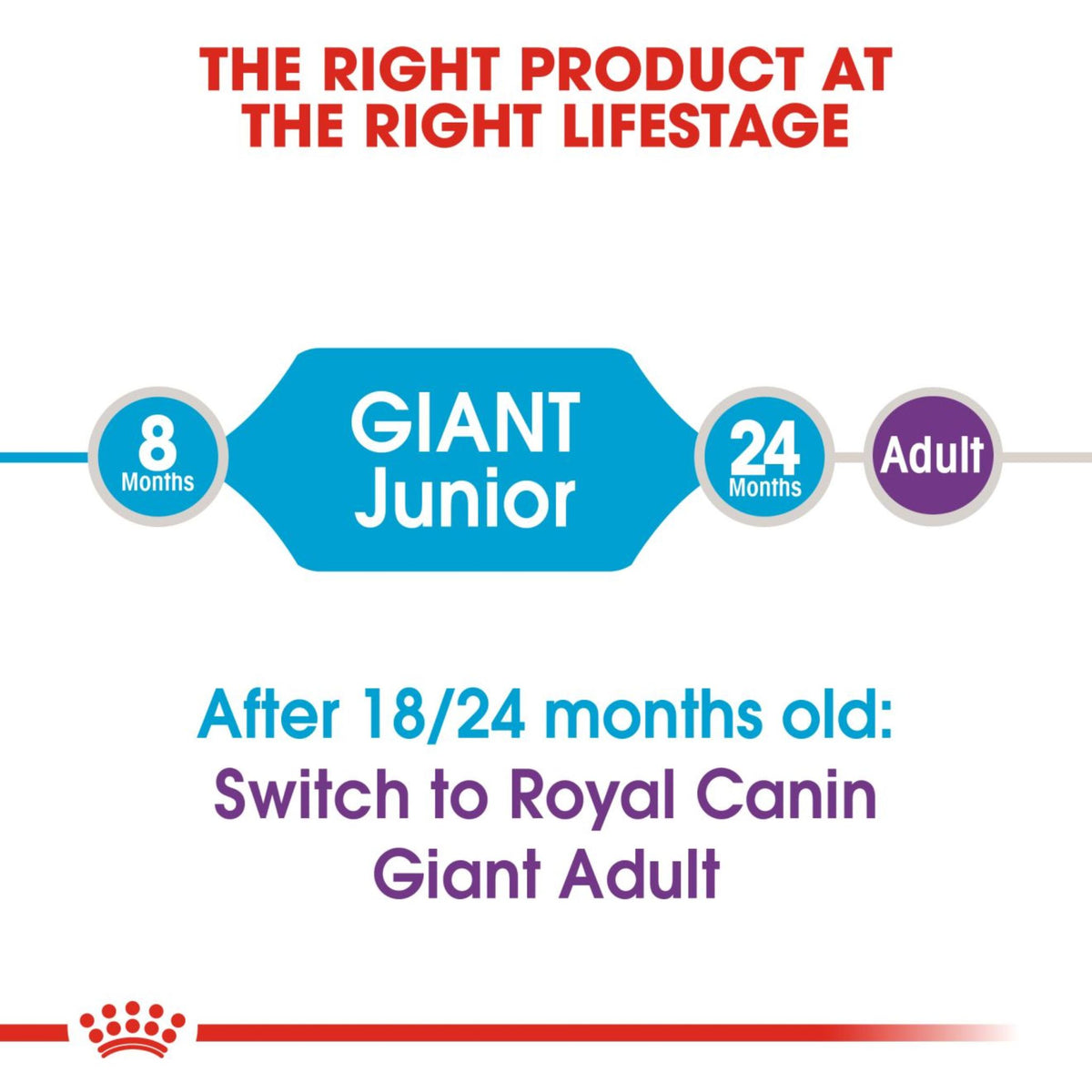Royal Canin Dry Giant Junior Complete feed for dogs - Rufftail