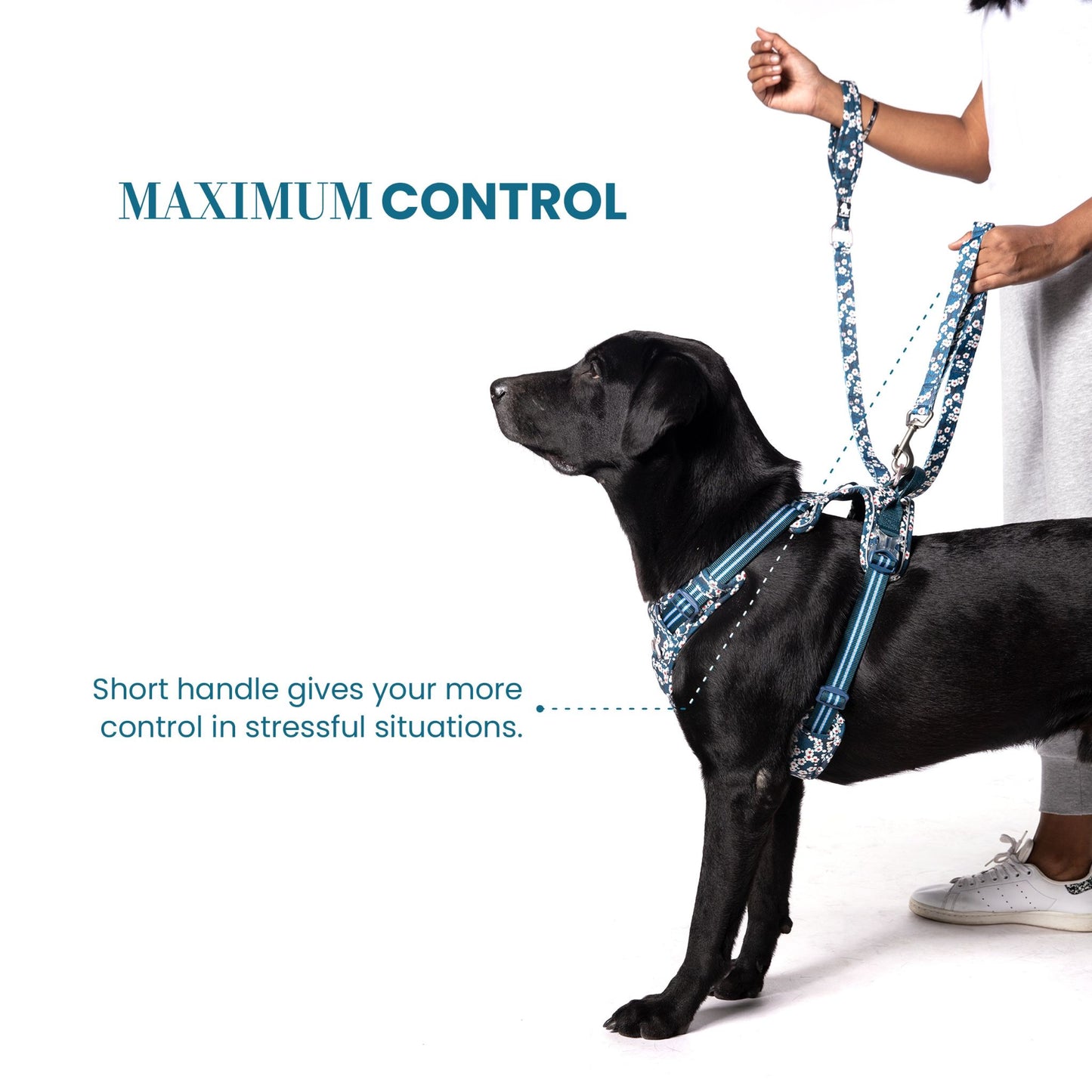 Truelove Floral Pet Leash with Multi-Handles for Dogs - Rufftail