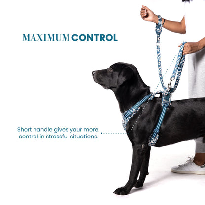 Truelove Floral Pet Leash with Multi-Handles for Dogs - Rufftail