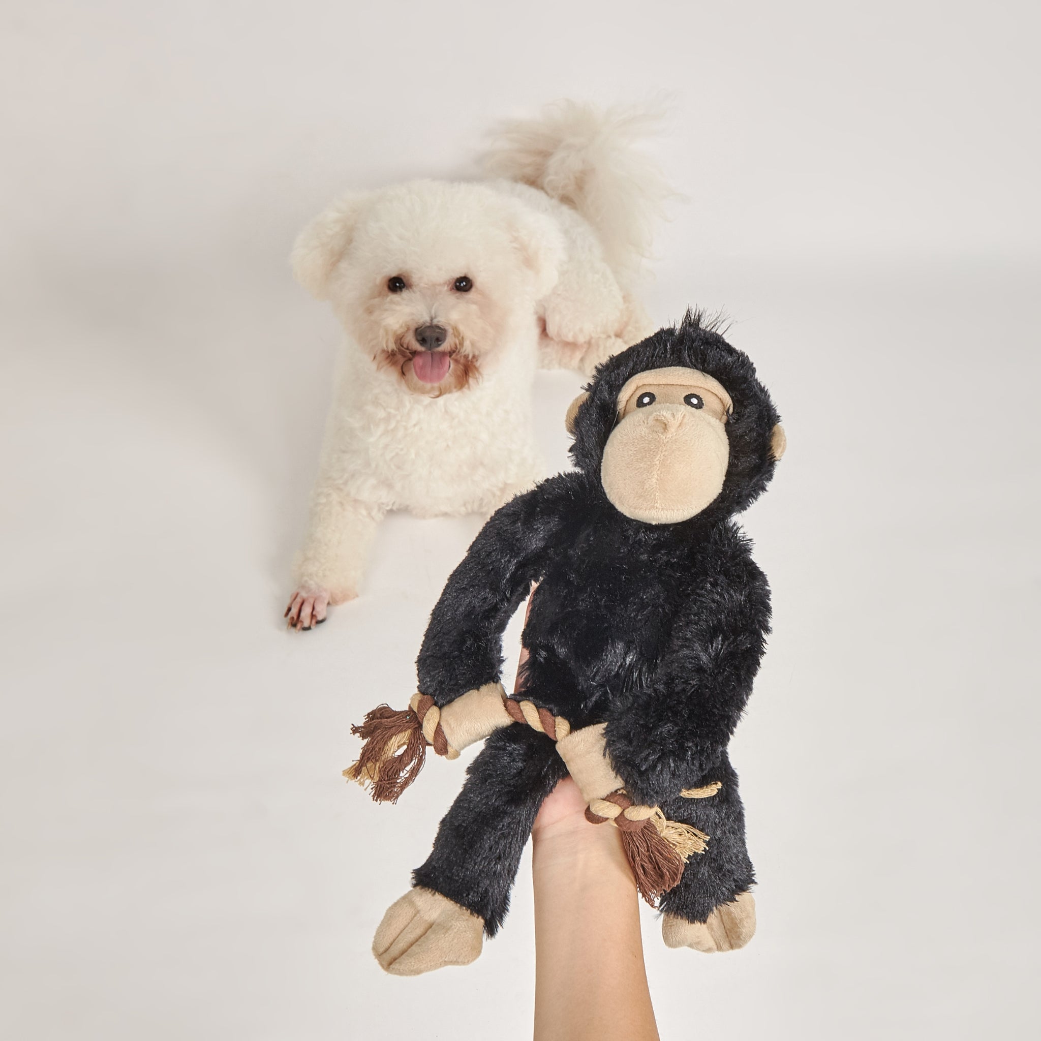 BarkButler x FOFOS Wildlife Plush Gorilla Toy - Squeaky & Soft Dog Toy - Rufftail