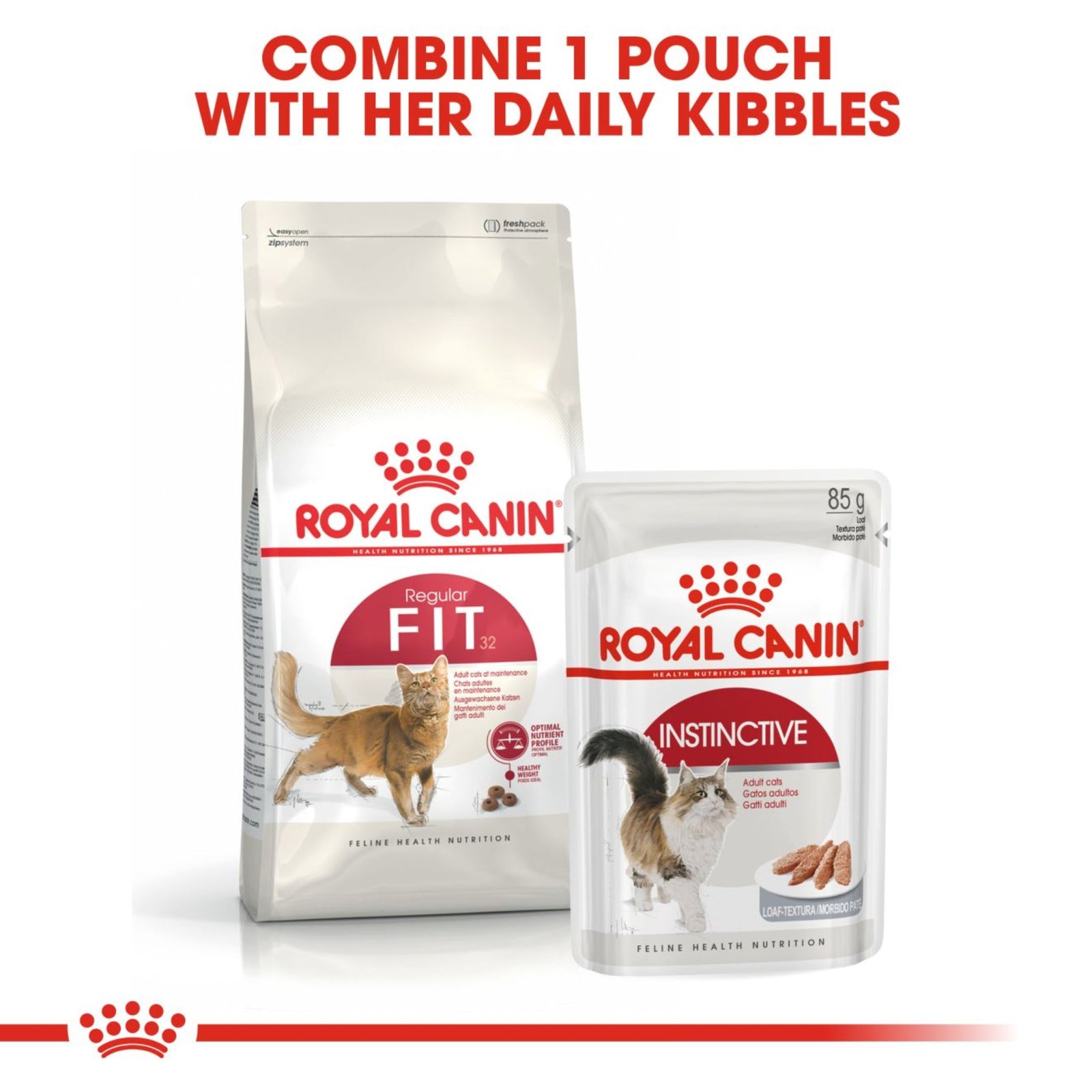 Royal Canin Regular Fit 32 Dry Cat Food product image 7 - Rufftail Pune