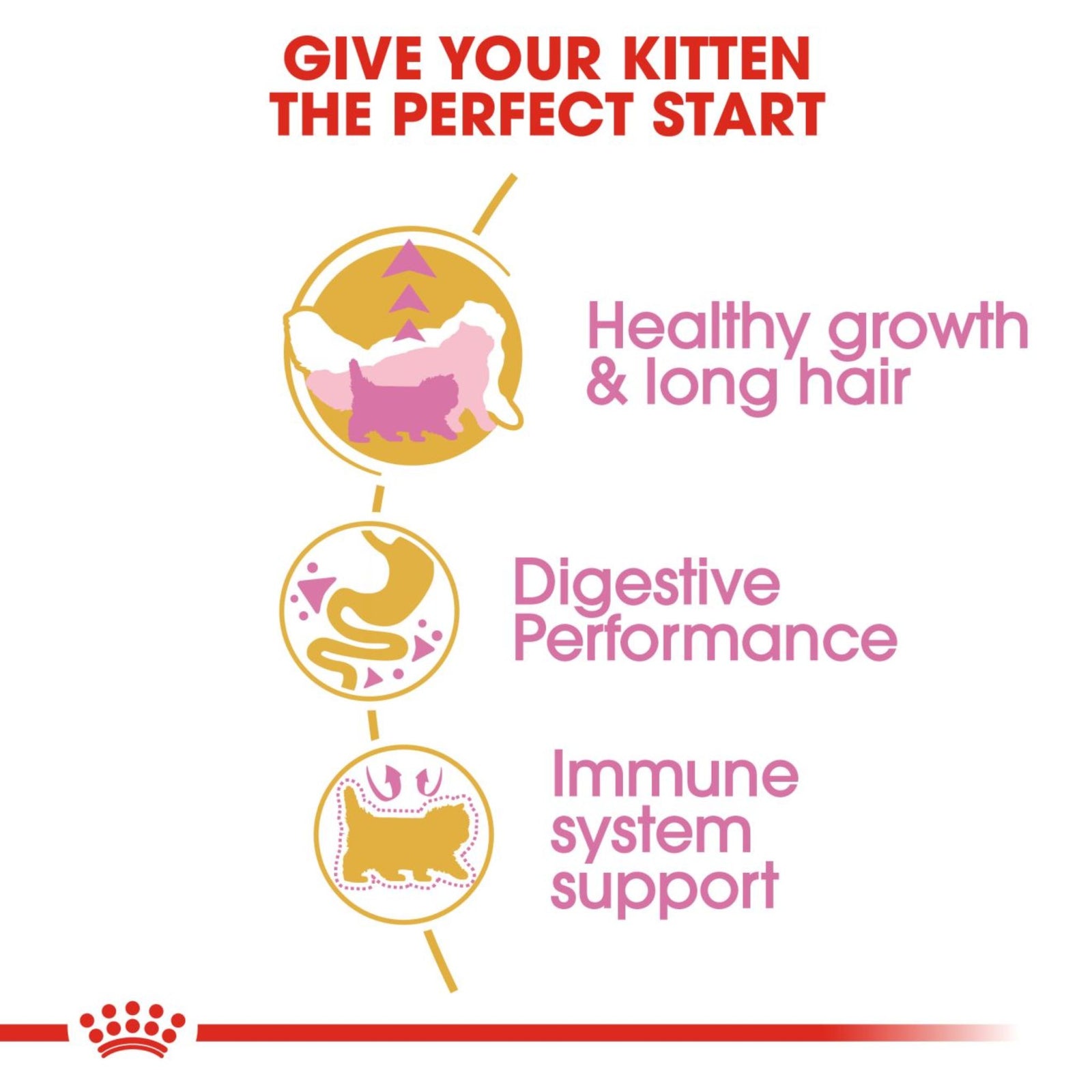 Royal Canin Persian Kitten Dry Cat Food product image 3 - Rufftail Pune
