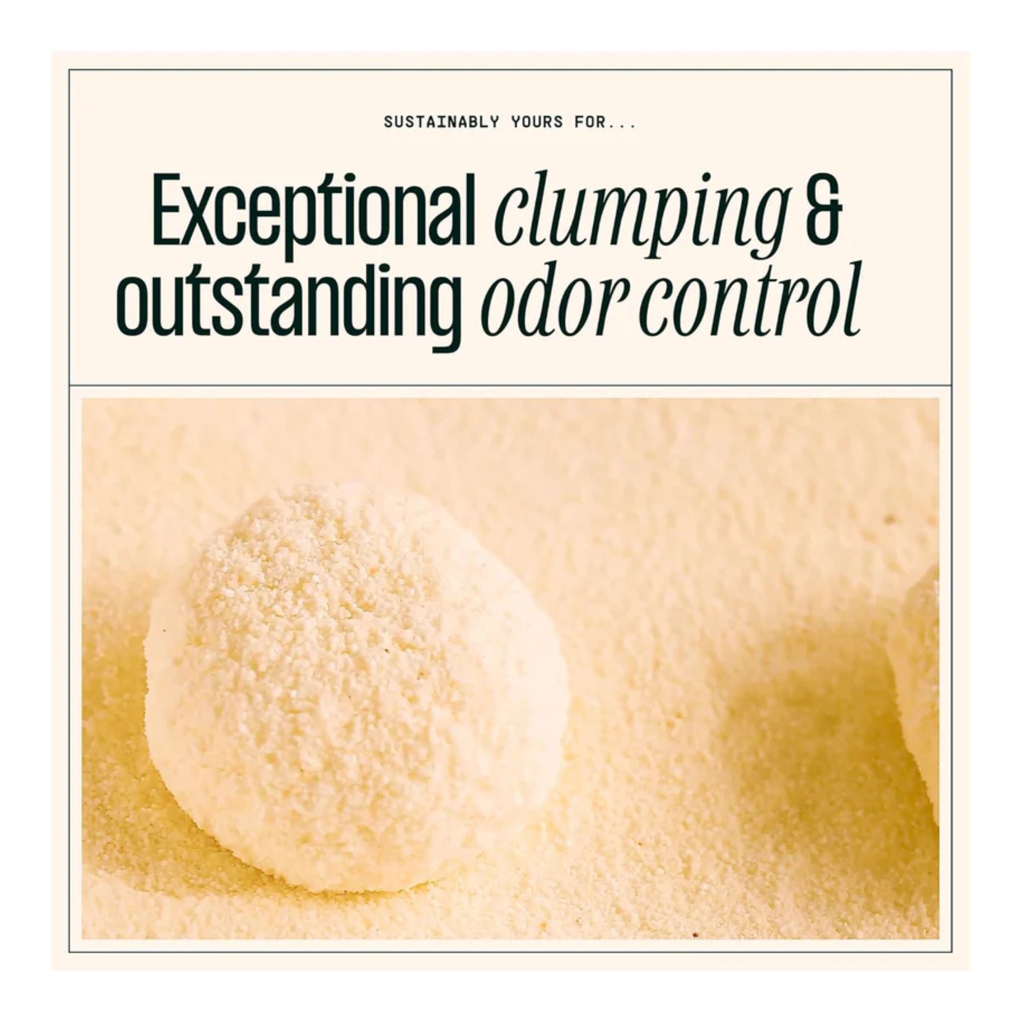 Sustainably Yours Mixed Grain Cat Litter - Rufftail