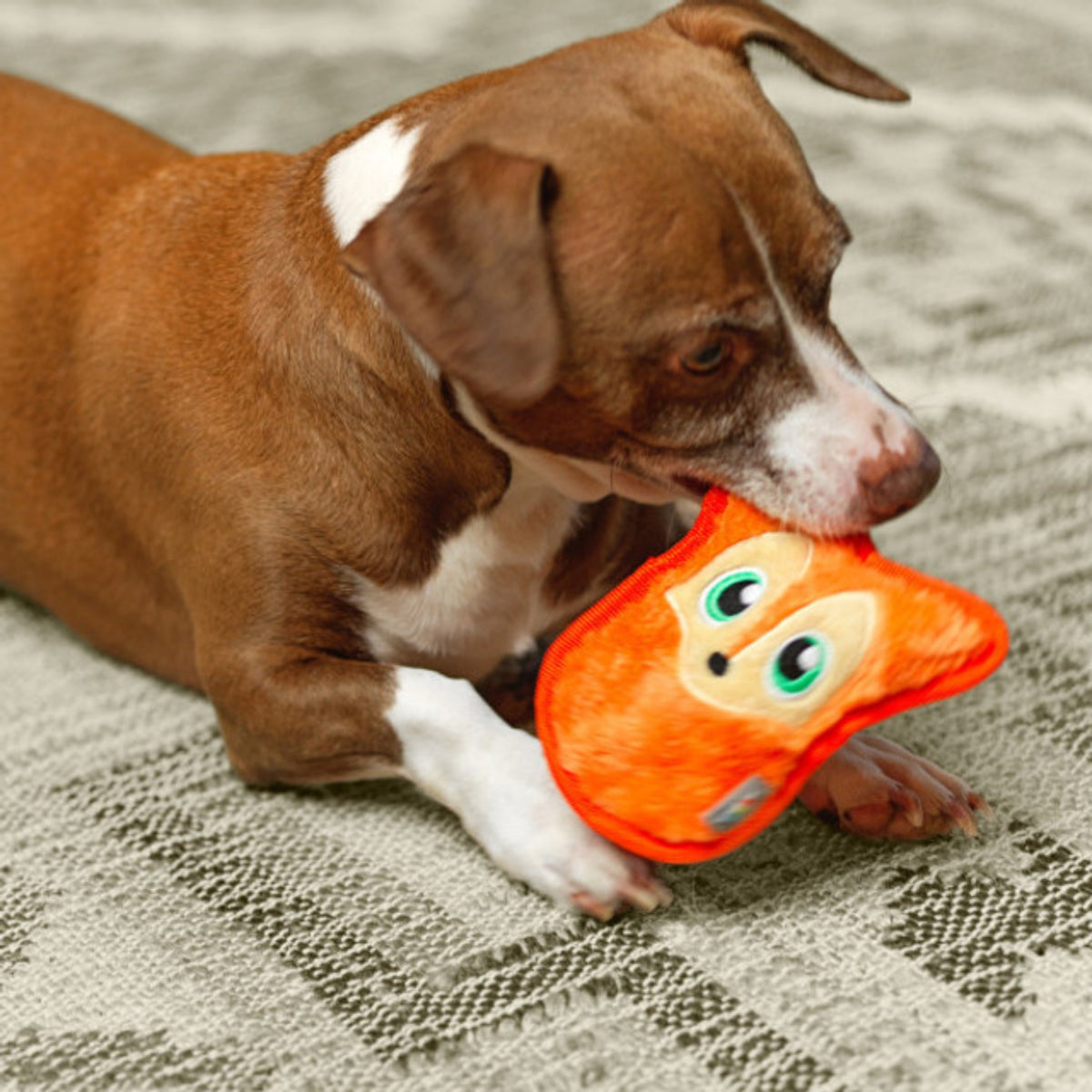 Outward Hound Fox Durablez Invincibles With Squeak Plush Toy For Dog