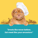 Dogfest Duck fillets Treats - Healthy & Natural Dog Treat - Rufftail