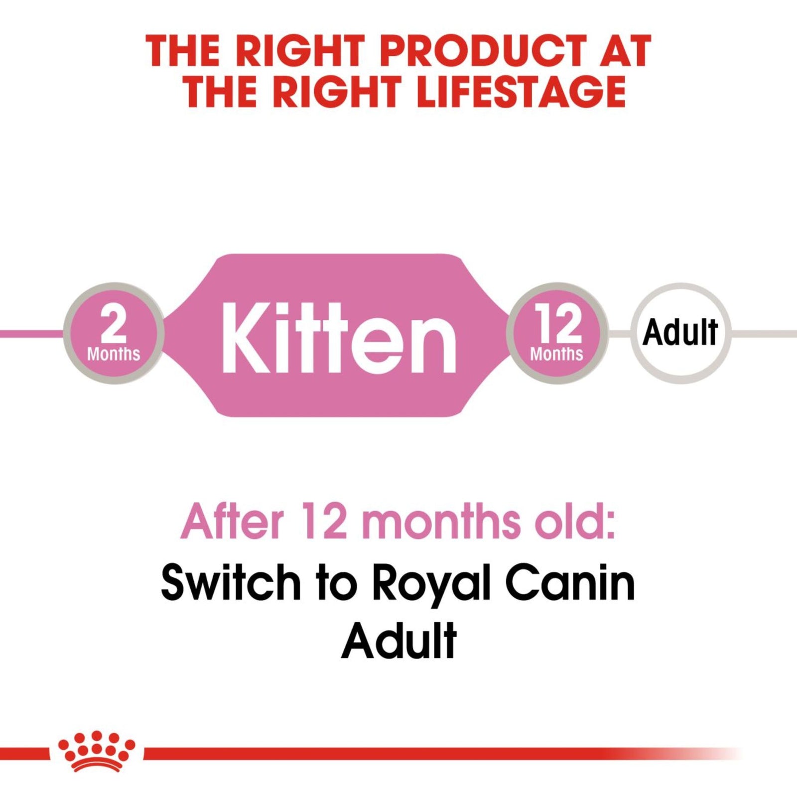 Royal Canin Kitten Loaf Wet Food (12x85g) product image 4 - Rufftail Pune