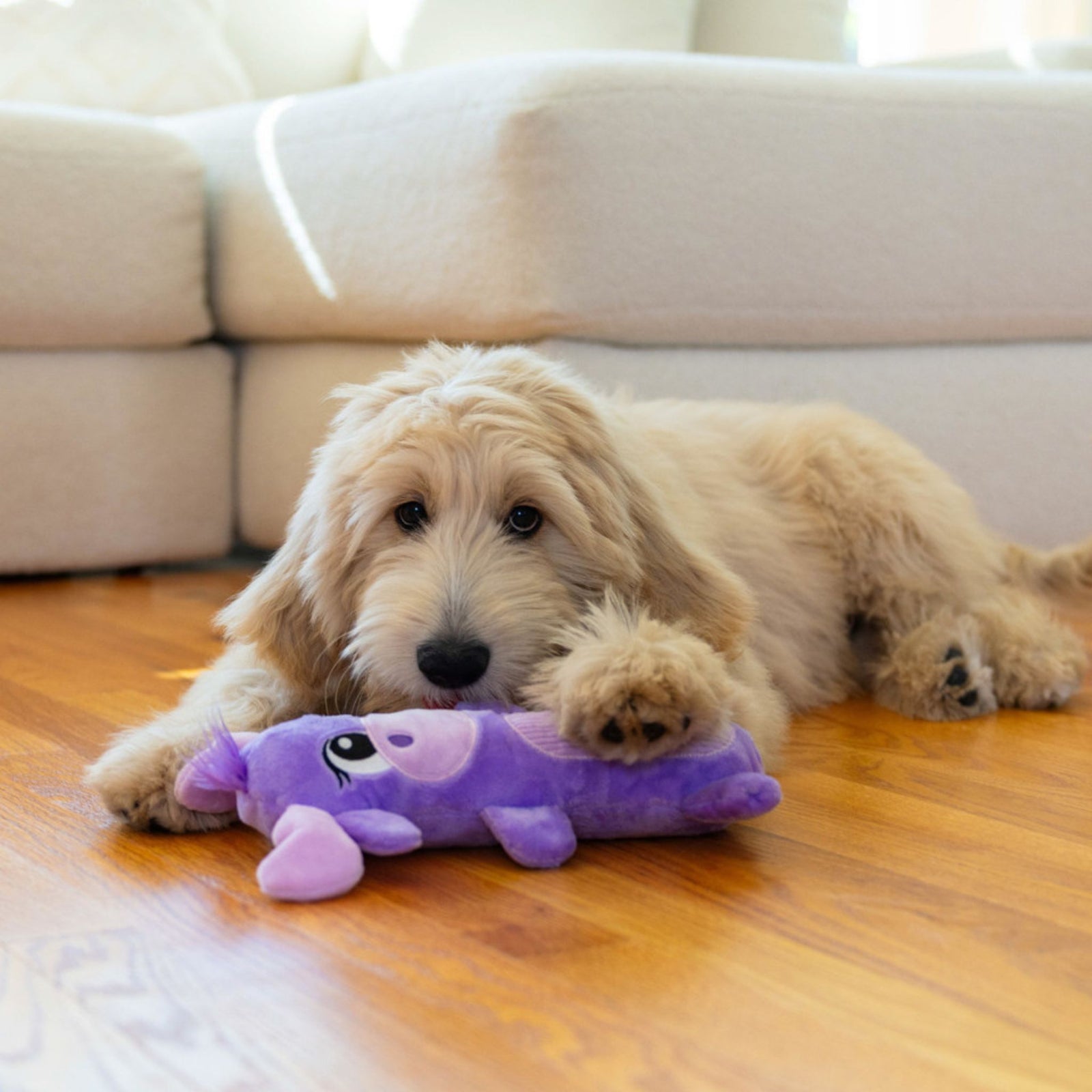 Outward Hound Stuffing-Free Squeaky Dog Toy product image 2 - Rufftail Pune