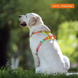 Truelove No-Pull Cordura Dog Harness - Blazing Yellow