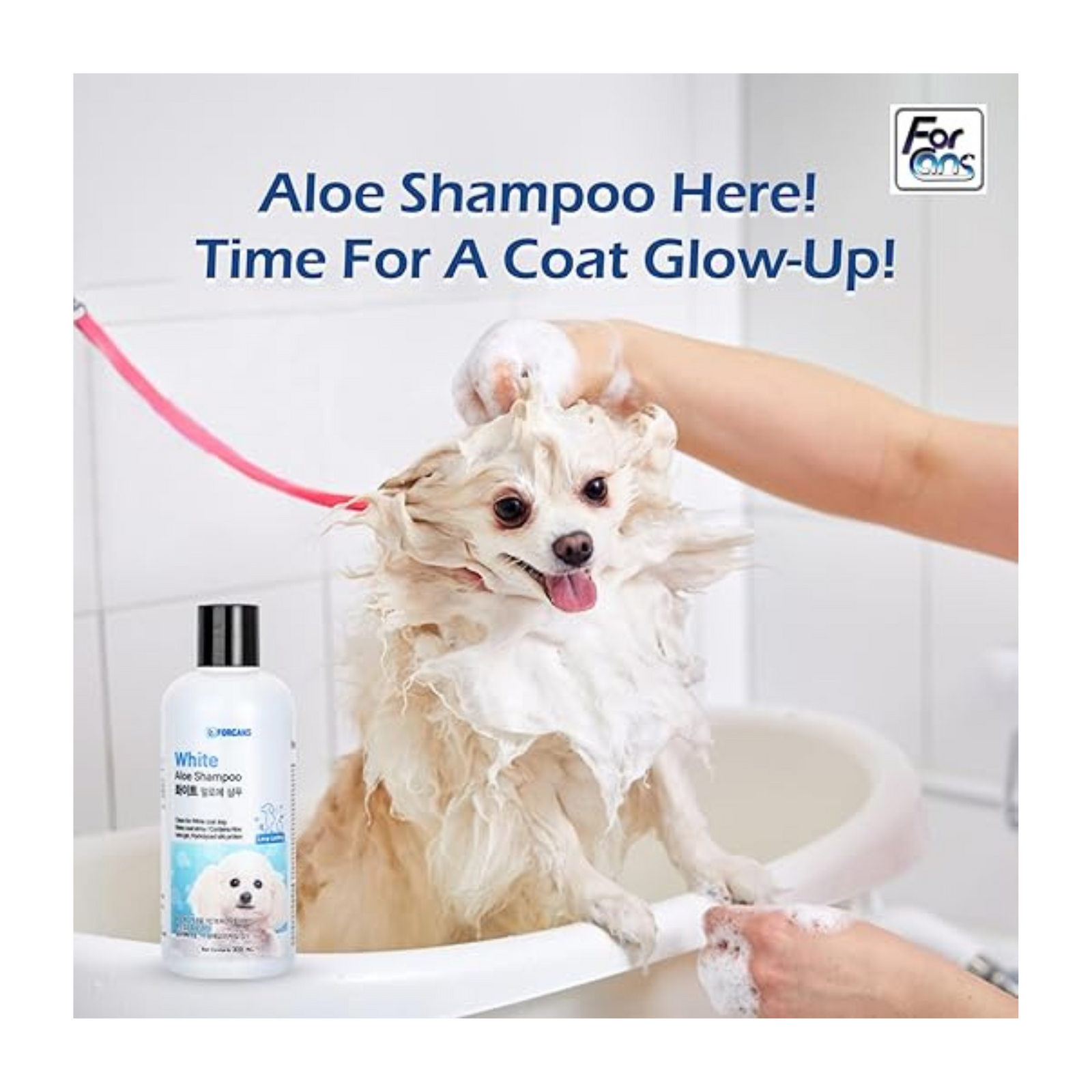 Forcans White Coat Aloe Shampoo for Dogs- Soothing Aloe, Smooth & Shiny Finish (300 ml) product image 4 - Rufftail Pune