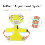 Truelove No-Pull Cordura Dog Harness - Blazing Yellow
