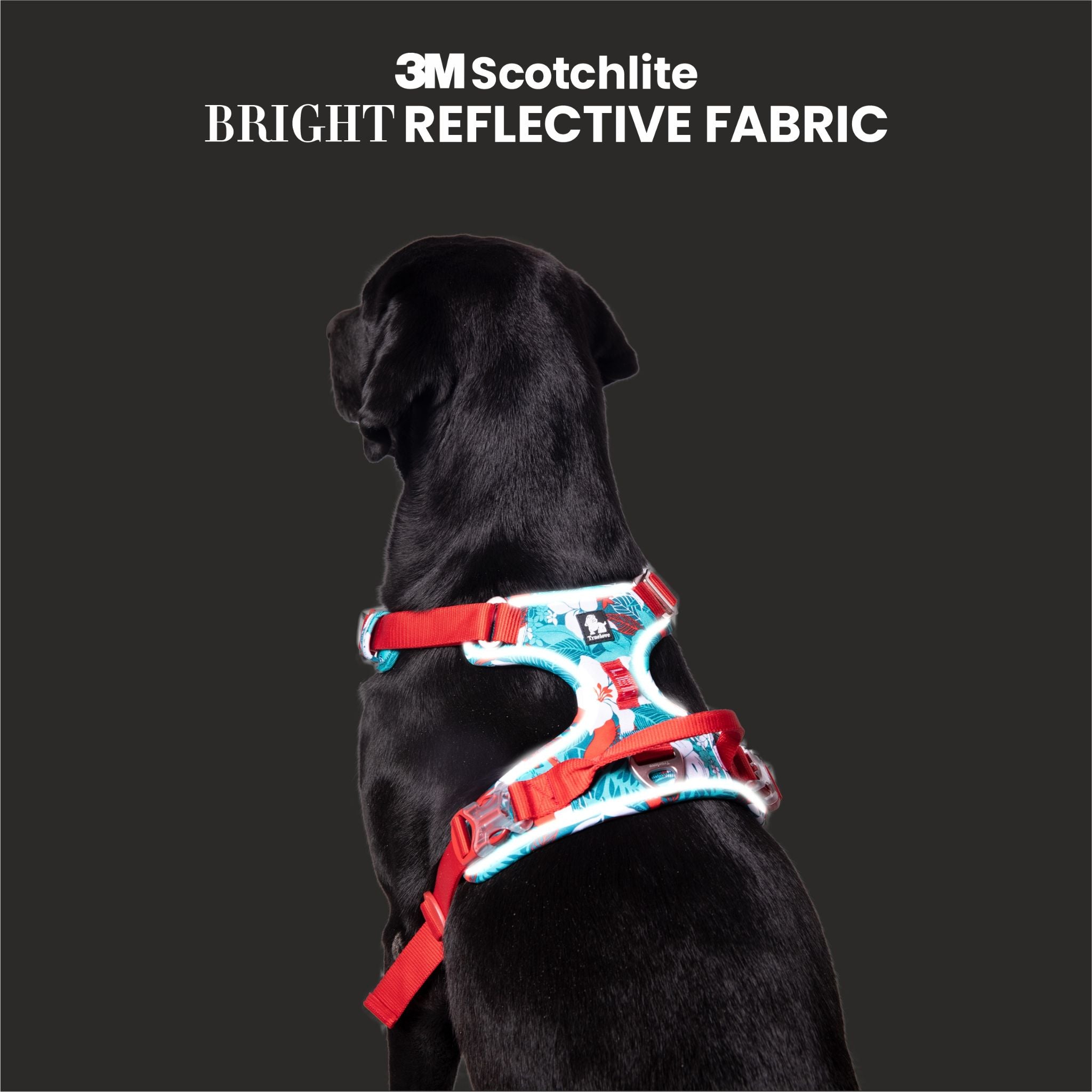 Truelove No-Pull Special Edition Harness For Dogs- Camouflage Blue - Rufftail