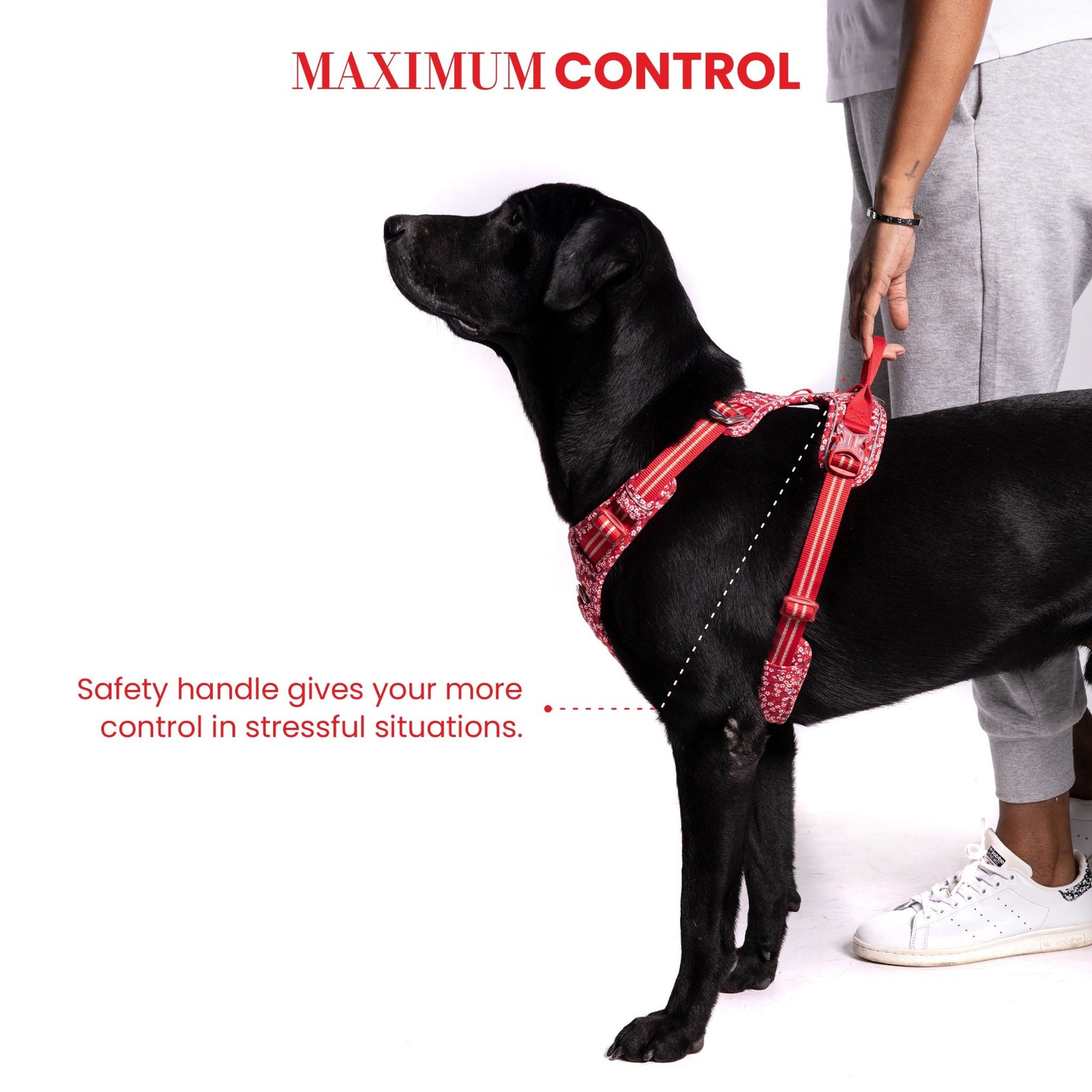 Truelove Floral No Pull Pet Harness for Dogs product image 6 - Rufftail Pune