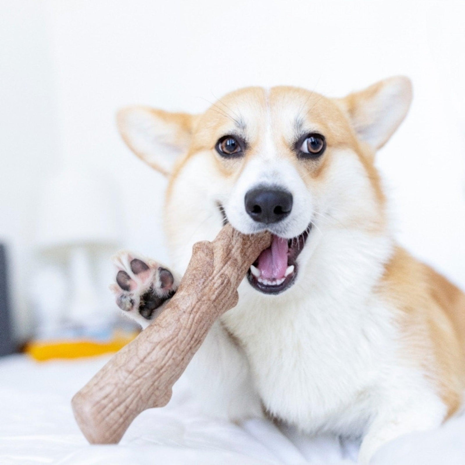 Petstages Dogwood Durable Stick Dog Toy- Medium 18cm product image 6 - Rufftail Pune