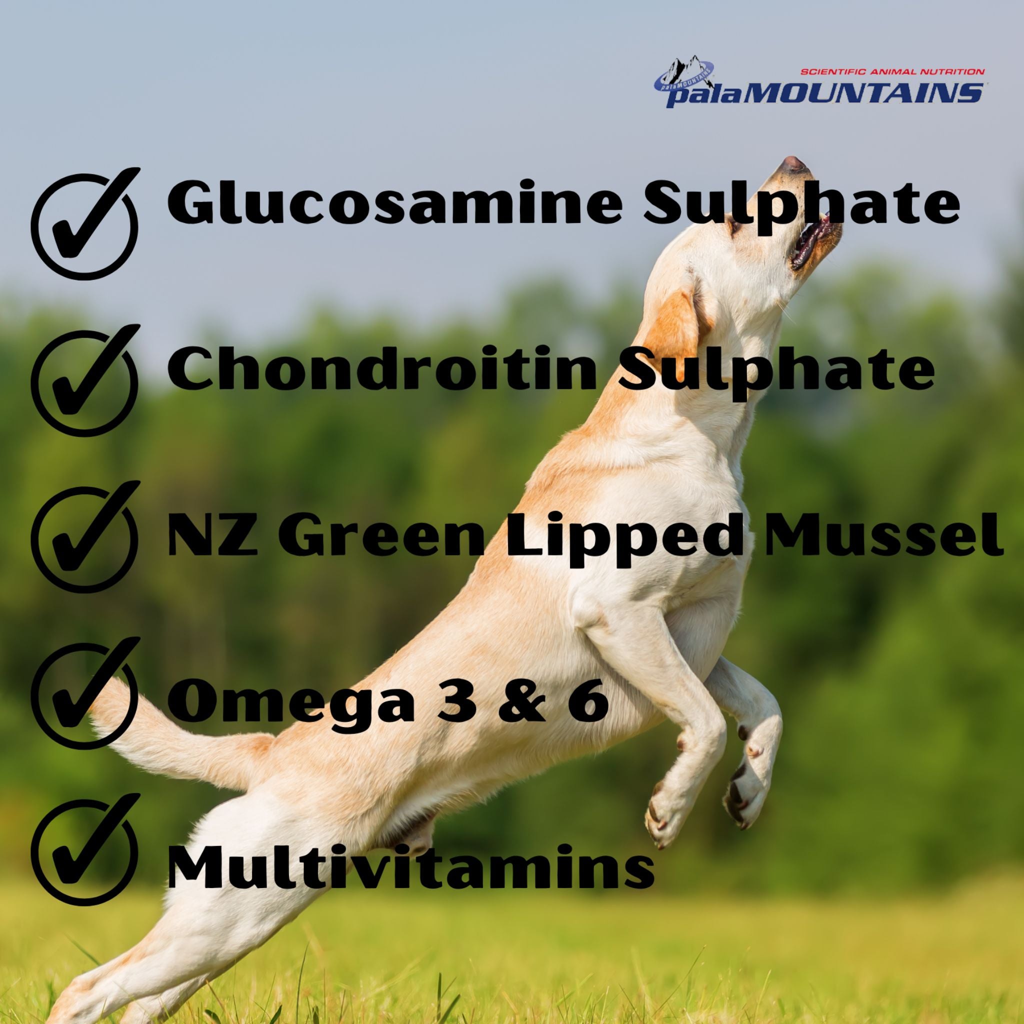 Palamountains My Beau Bone & Joint Dogs & Cats Supplement - Rufftail