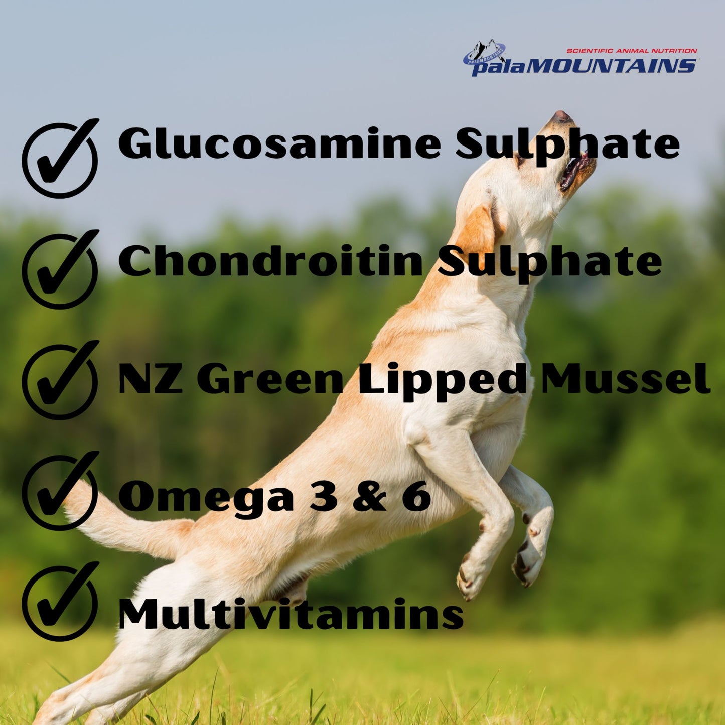 Palamountains My Beau Bone & Joint Dogs & Cats Supplement - Rufftail