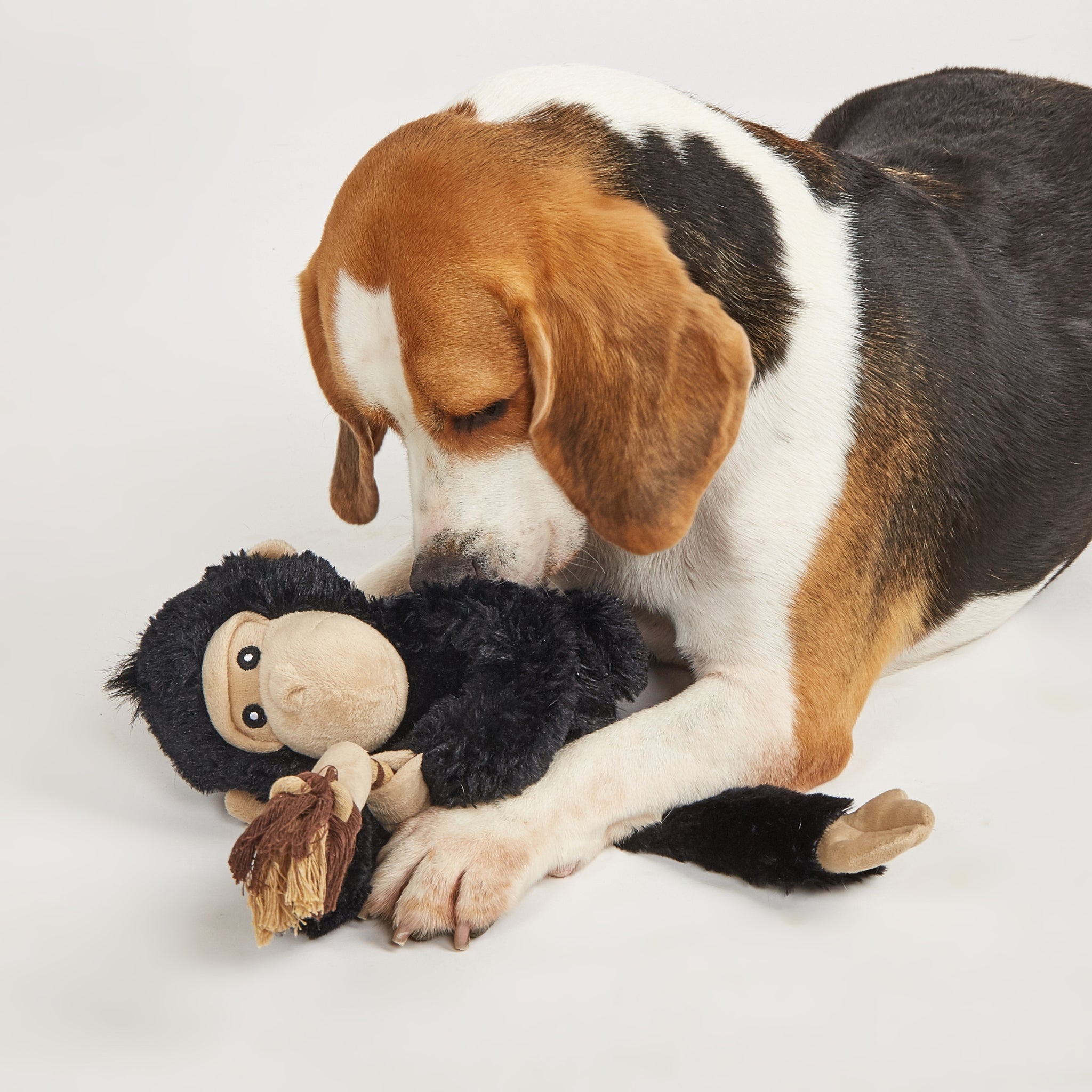 BarkButler x FOFOS Wildlife Plush Gorilla Toy - Squeaky & Soft Dog Toy - Rufftail