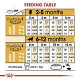 Royal Canin Dry Golden Retriever Puppy Complete feed for dogs - Rufftail