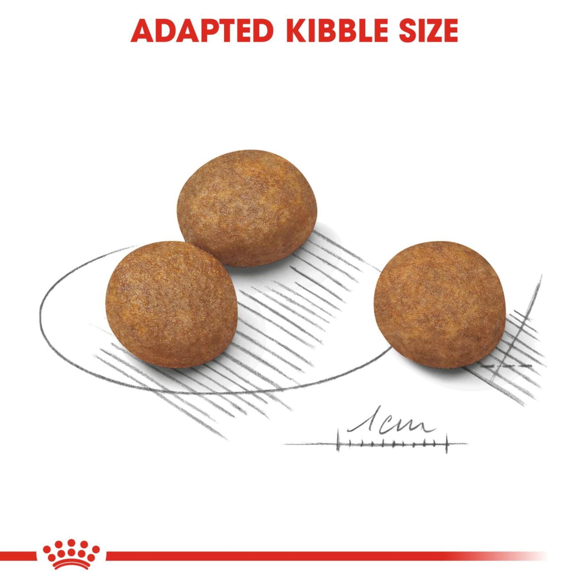 Royal Canin Dry Maxi Puppy Complete feed for dogs (DAMAGE BY CAT) - Rufftail