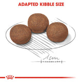 Royal Canin Dry Medium Puppy Complete feed for dogs - Rufftail