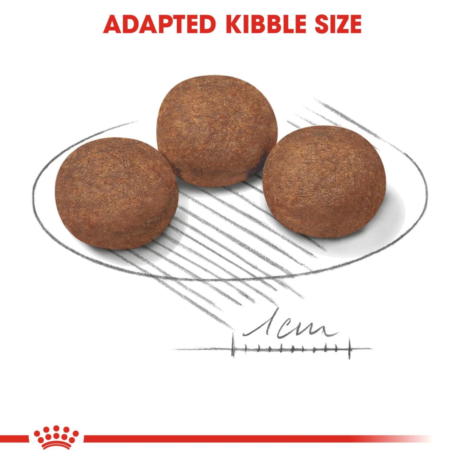 Royal Canin Dry Medium Puppy Complete feed for dogs - Rufftail