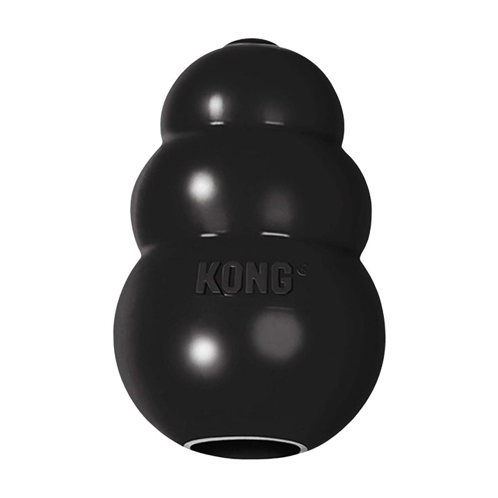 KONG Extreme Dog Toy Wobbler - Power Chewers, Fun & Engaging Toys - Rufftail