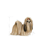 Royal Canin Shih Tzu Adult Dry Dog Food product image 6 - Rufftail Pune