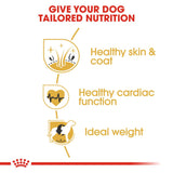 Royal Canin Golden Retriever Adult Dry Dog Food product image 3 - Rufftail Pune