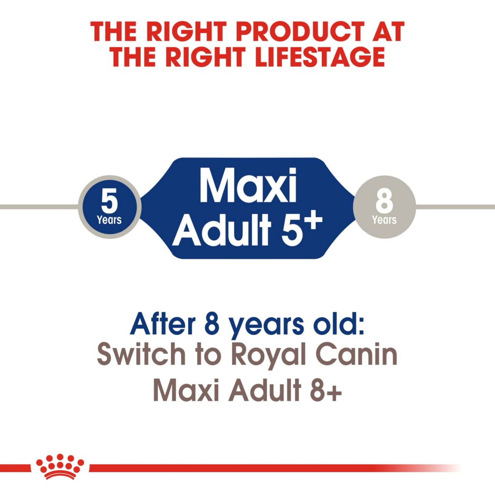 Royal Canin Dry Maxi Adult 5+ Complete feed for dogs - Rufftail