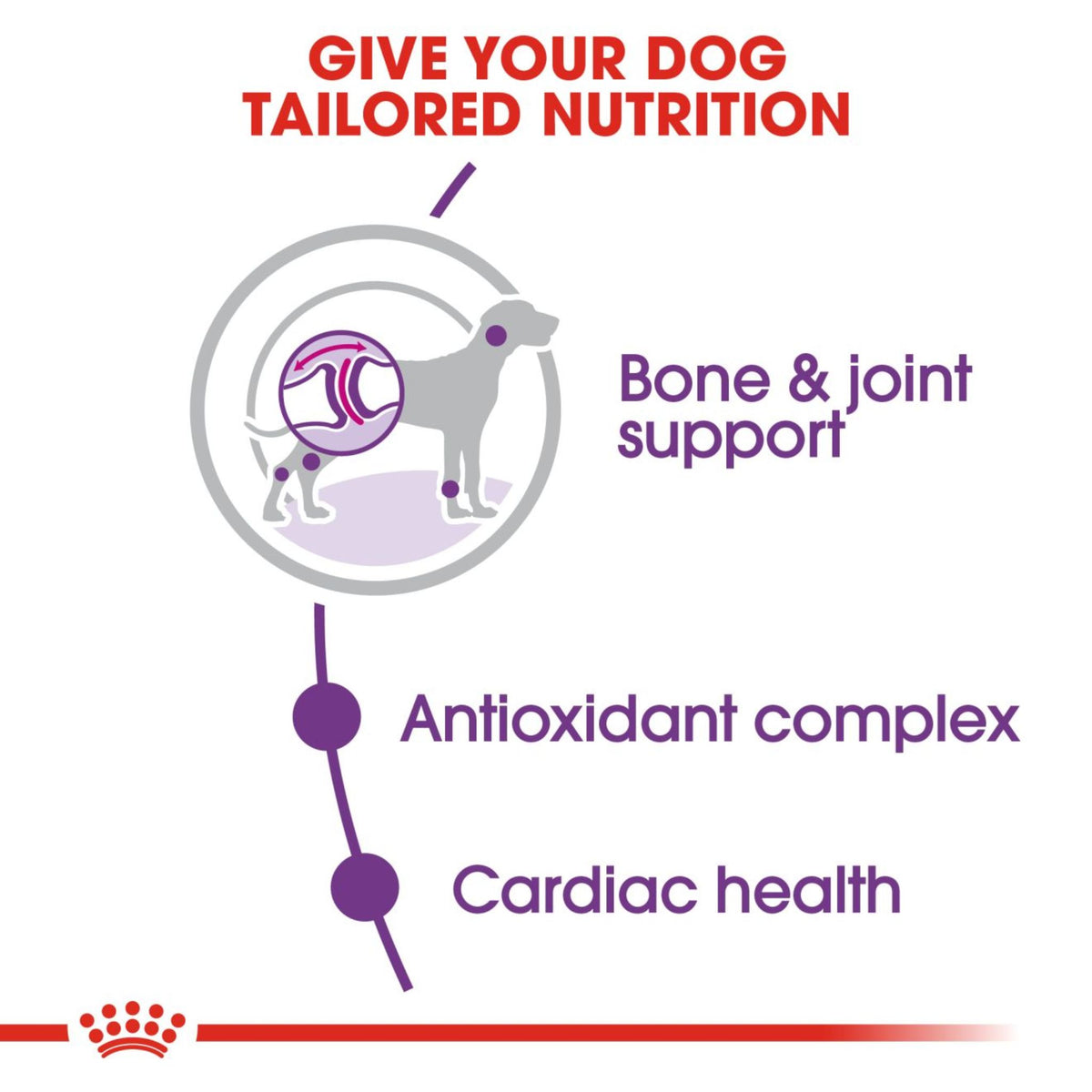 Royal Canin Dry Giant Adult Complete feed for dogs - Rufftail