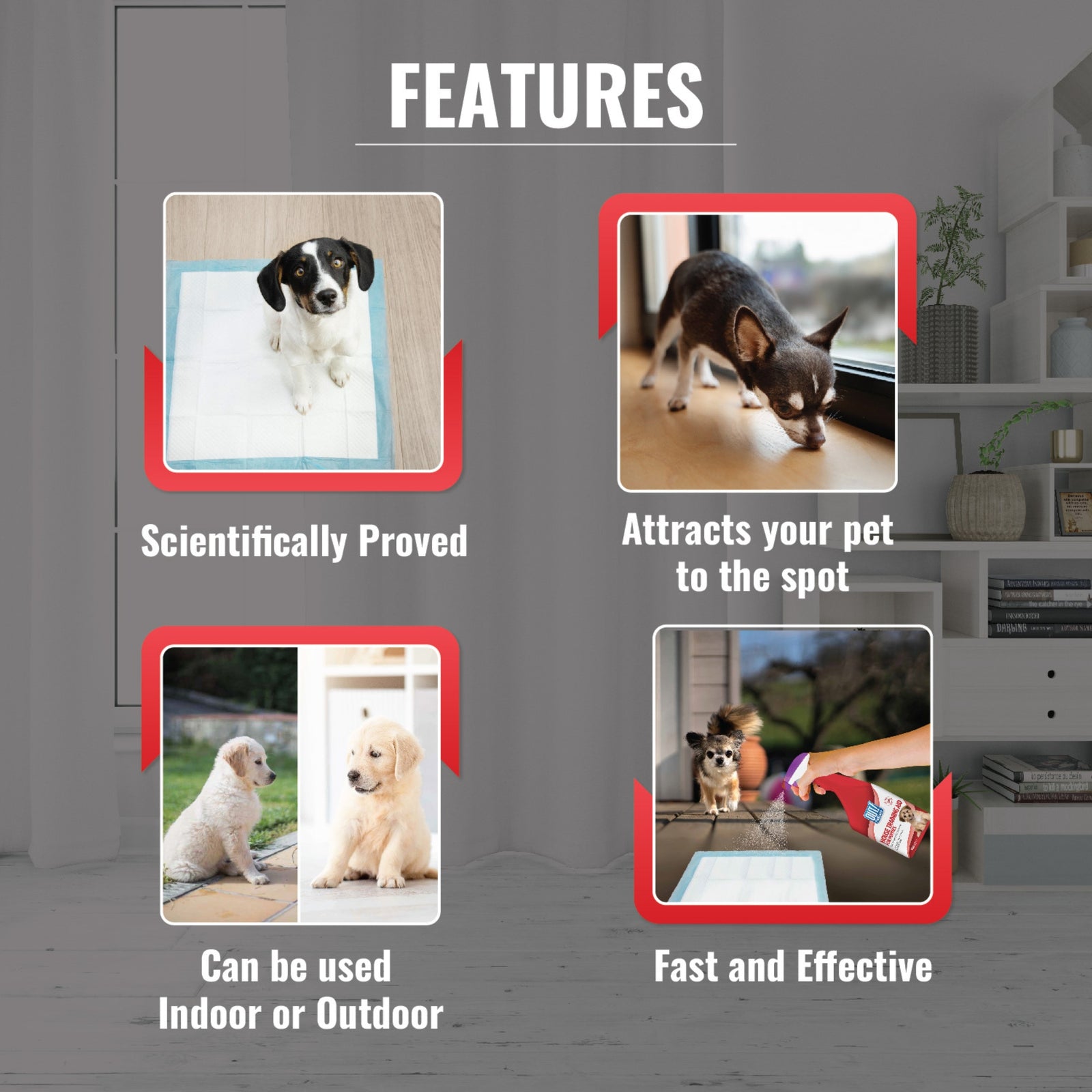 OUT Toilet Home Training Aid for Puppies 500ml product image 5 - Rufftail Pune