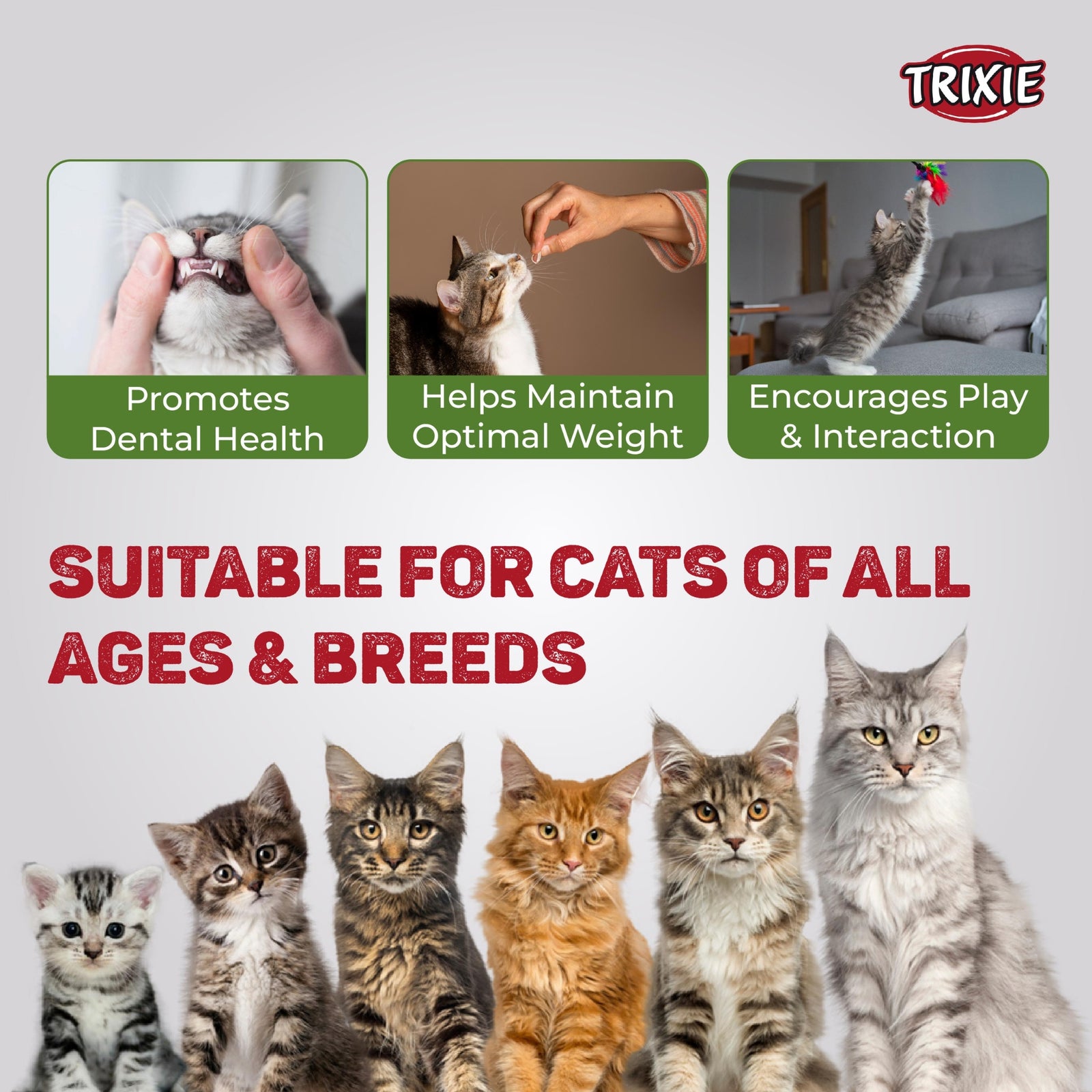 Trixie Premio Chicken Mini Sticks Cat Treat- 50g product image 6 - Rufftail Pune