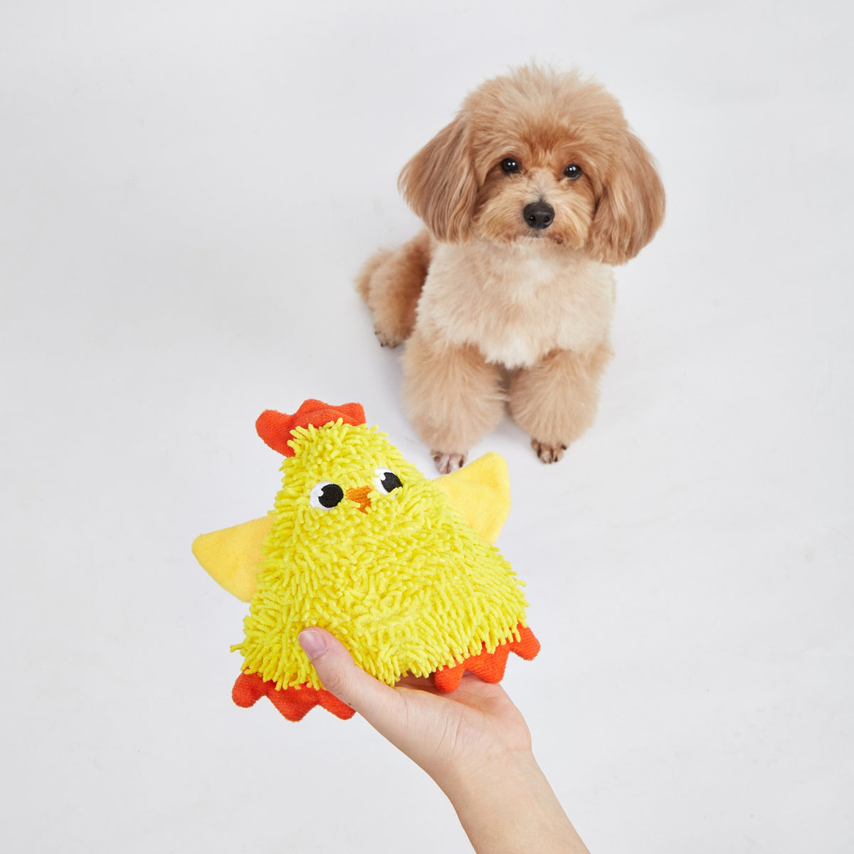 Barkbutler x FOFOS Tough Dog Toy Chick - Soft & Squeaky Toy - Rufftail