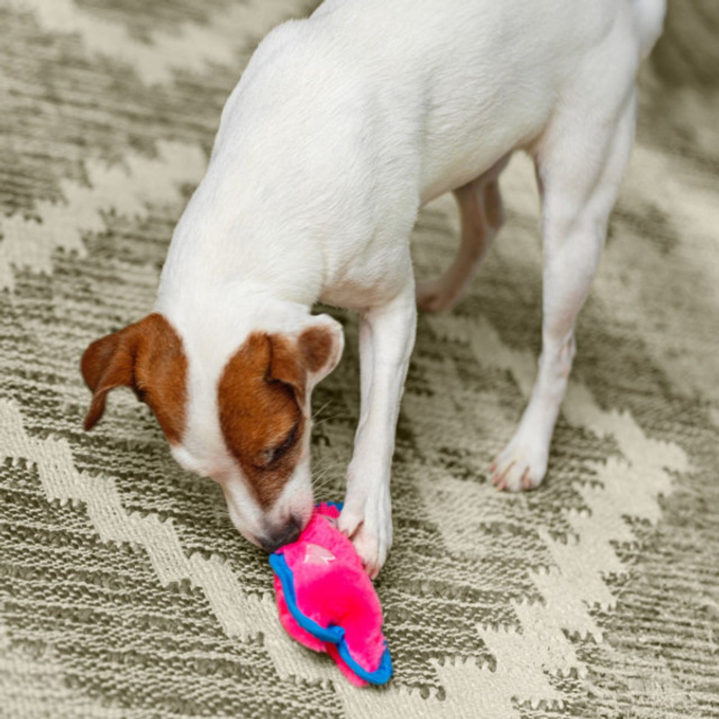 Outward Hound Pig Durablez Invincibles With Squeak Plush Toy For Dog