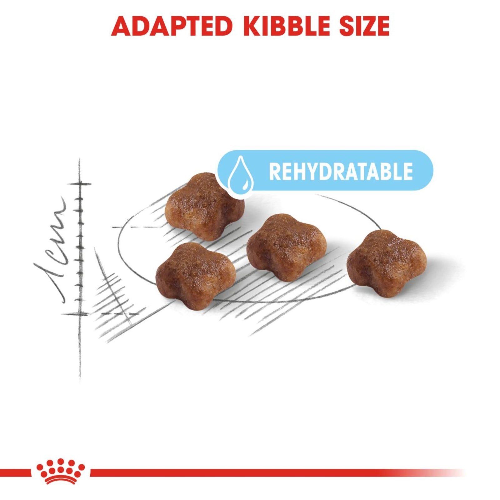Royal Canin Dry Mother & Babycat Food – Cat Food Dry - Rufftail