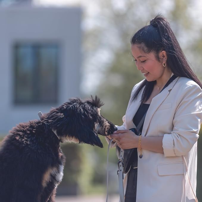 TRIXIE CityStyle PVC Dog Collar - Sage (S-M) - Rufftail