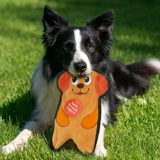 Outward Hound Durablez Medium Orange XS Dog Toy - Soft & Squeaky