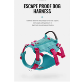 Truelove Escape Proof Dog Harness Comfortable Fit - Vibrant Orange
